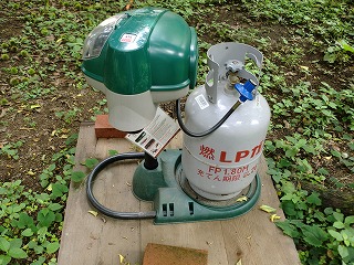 b0153268_75718.jpg