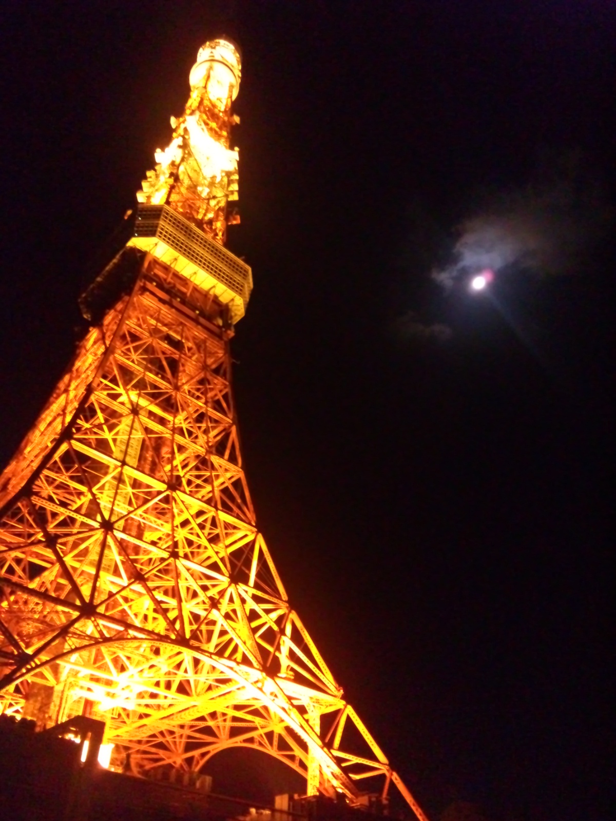 c0154876_1094592.jpg