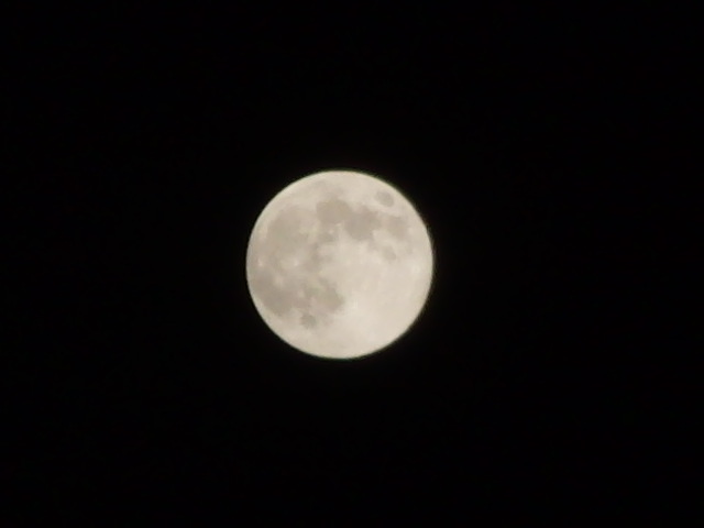 c0206177_11472842.jpg