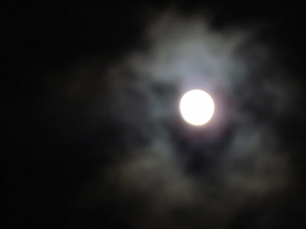 a0137279_2016274.jpg