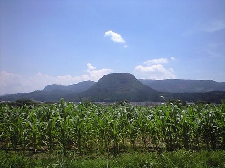 b0005281_1738941.jpg