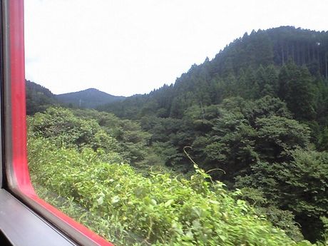 b0005281_1741091.jpg