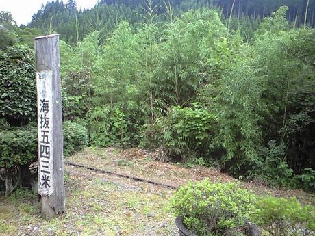 b0005281_17461562.jpg