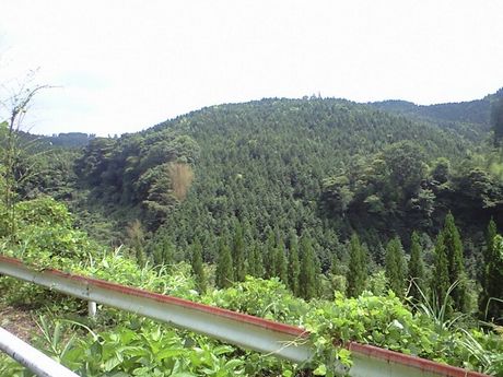 b0005281_17495173.jpg