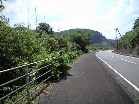b0005281_1749949.jpg