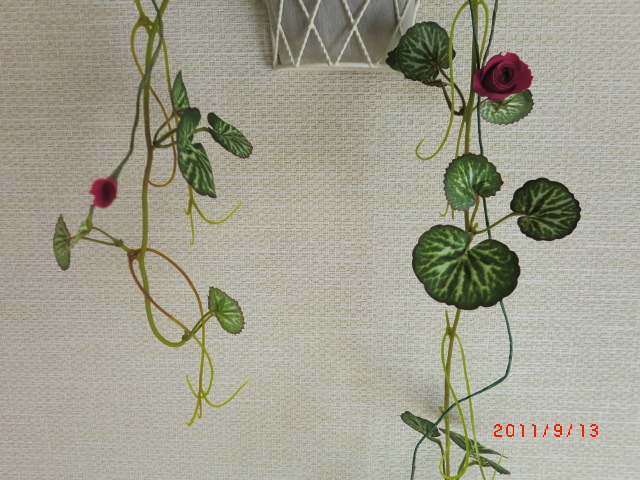a0185783_1625875.jpg