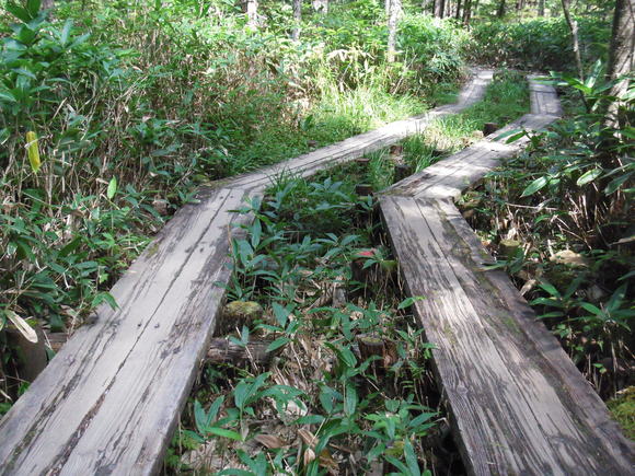 c0096685_22114344.jpg