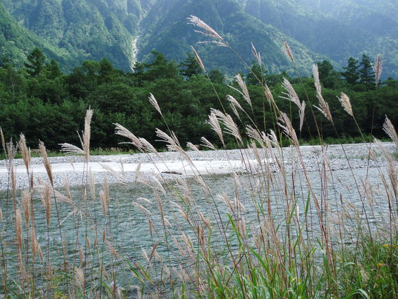 c0096685_22124210.jpg