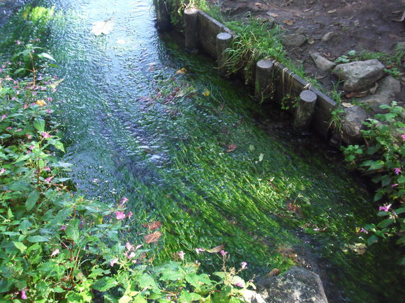 c0096685_22719100.jpg
