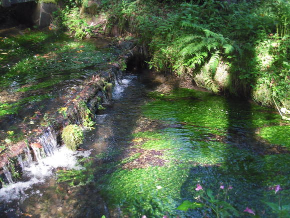 c0096685_228125.jpg