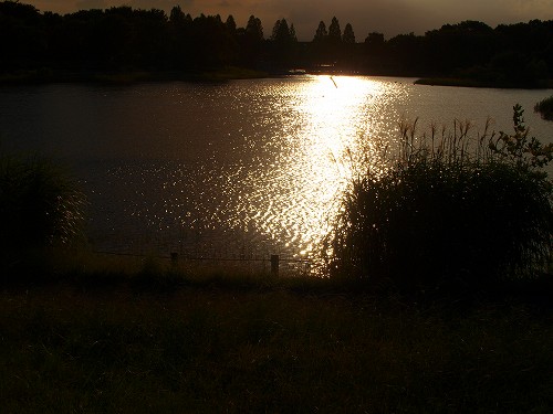 f0209785_22514397.jpg