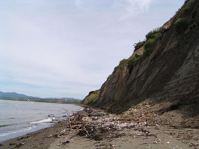 f0078286_9561967.jpg