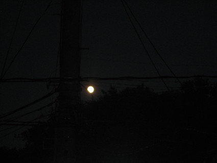 b0204887_1421891.jpg