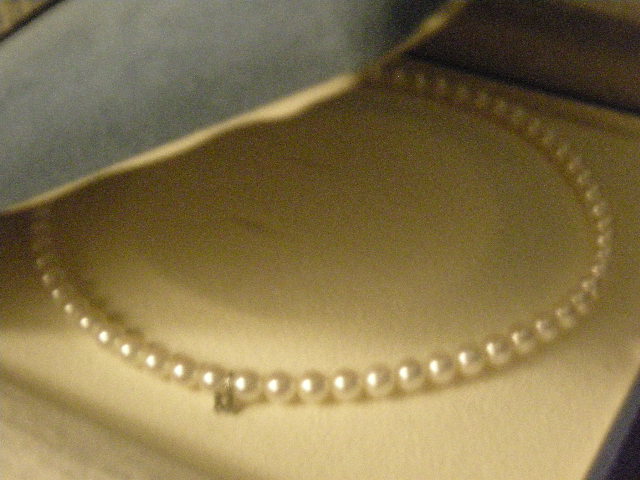 c0177198_10281979.jpg
