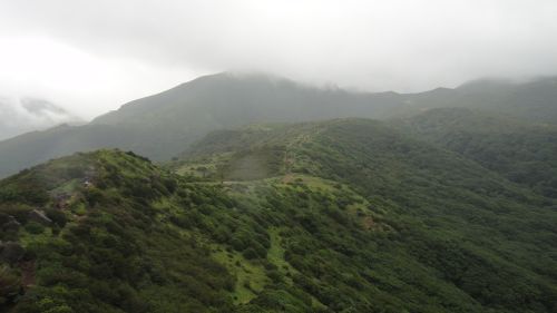 f0036700_16142686.jpg