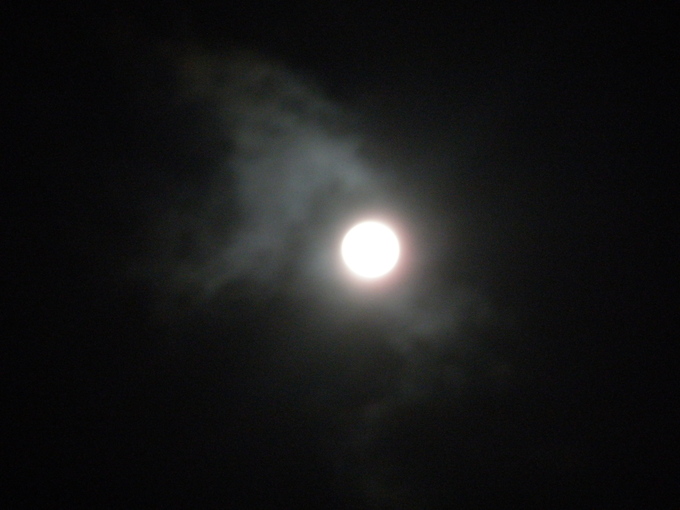 b0212305_20242227.jpg