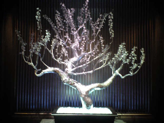 ST REGIS LA VEDUTA(イタリアン) 無才、未完、迷走なのか?パート1_a0194908_19543042.jpg