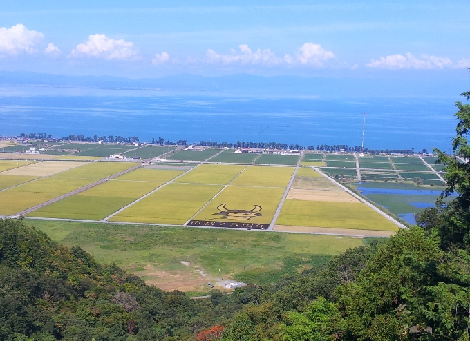 e0033713_8435764.jpg