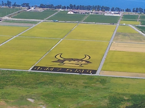 e0033713_8454893.jpg