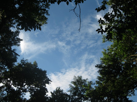 「greengreenvillage日田」に~開拓へ~☆_a0125419_20242027.jpg
