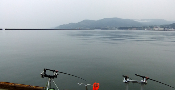 a0155319_912114.jpg