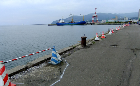 a0155319_99320.jpg