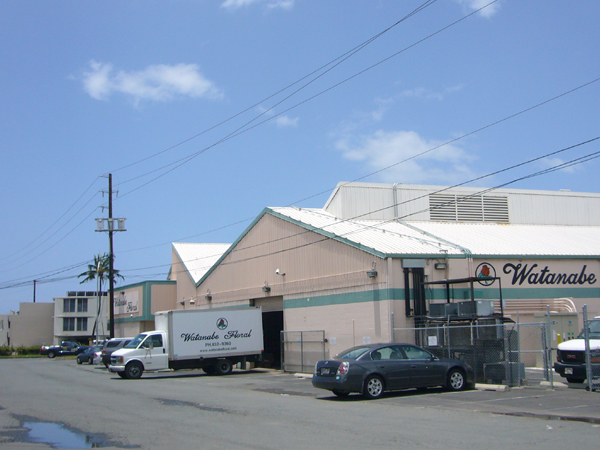 e0163721_94267.jpg