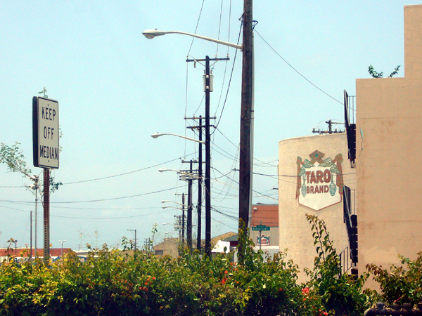 e0163721_942714.jpg