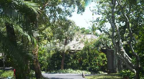 ayanaresort_b0212922_14581355.jpg