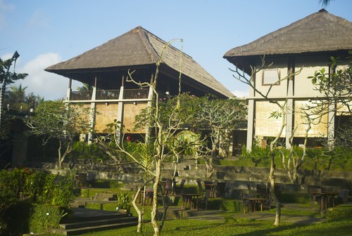 mayaubud_b0212922_15111672.jpg