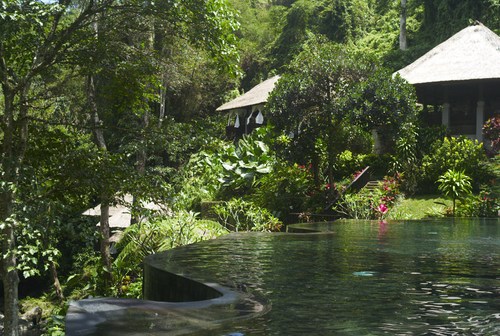 mayaubud_b0212922_152615100.jpg