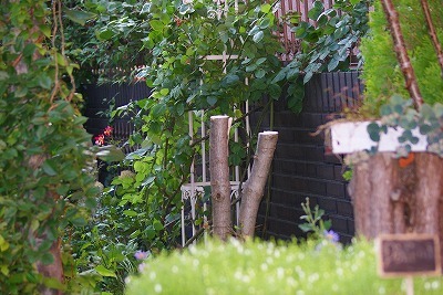 f0170524_17385510.jpg