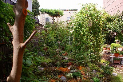 f0170524_1746591.jpg