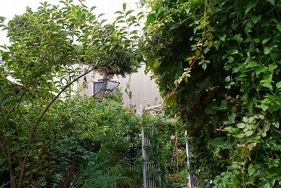 f0170524_17471944.jpg