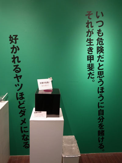 岡本太郎生誕100年企画展にて_a0113127_1326271.jpg
