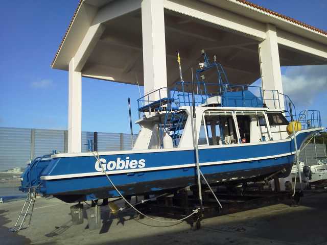 d0224927_7252939.jpg
