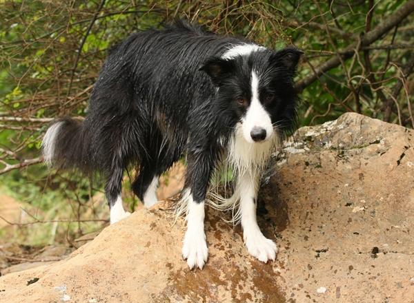 e0138031_71727.jpg
