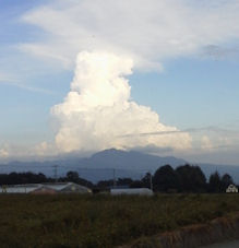 f0161535_03229.jpg