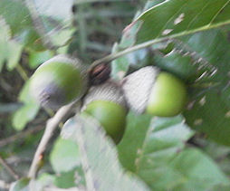 f0161535_034824.jpg
