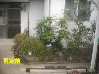 加速作業_f0031037_19444942.jpg