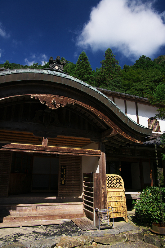 秋海棠咲く（古知谷阿弥陀寺）_f0155048_2041222.jpg