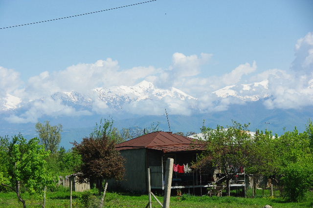 c0011649_024110.jpg