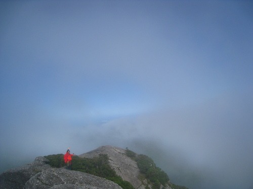 東北へ、関東への旅までに。。。_b0160957_8453273.jpg