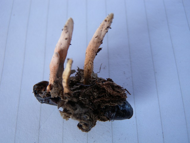 b0104861_22404719.jpg