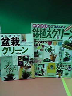 グリーンおばさん って都市伝説 Pucapuca グリーンおばさん って都市伝説 Pucapuca