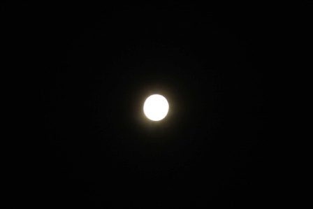 気分爽快!_a0117168_838890.jpg