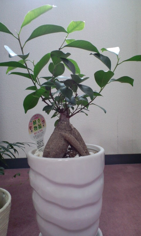 c0221669_0563275.jpg