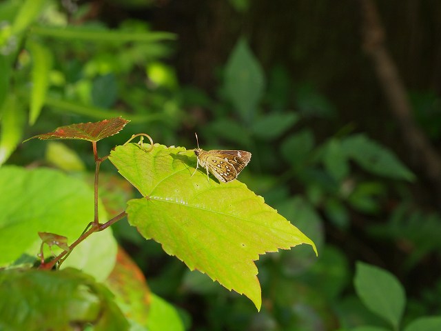 b0135573_20483735.jpg