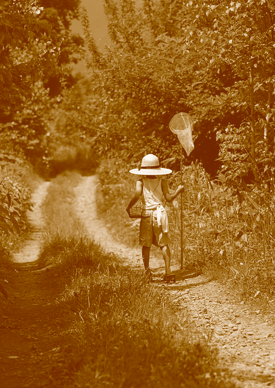 c0095679_18574472.gif