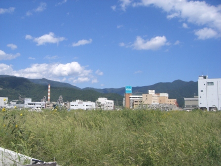 なぜ人間は豚を食べても豚にならないか・・・?_a0053480_9494883.jpg